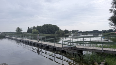 IMG_7796.JPEG