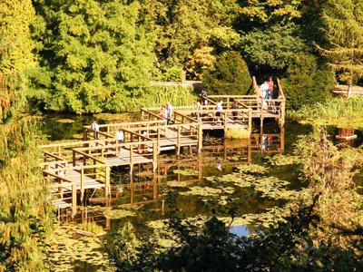 DSCF0956.JPG