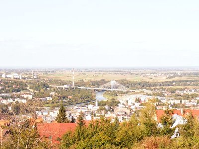 DSCF1013.JPG