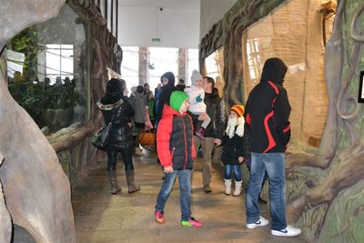 DSC_0970.JPG