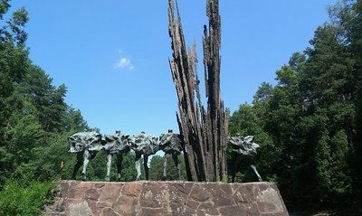 IMAG0564.jpg