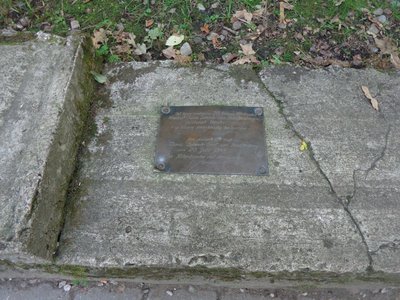 wilczy_szaniec_5.JPG