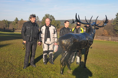 Pozdrowiliśmy czarnego jelenia od białych kruków.