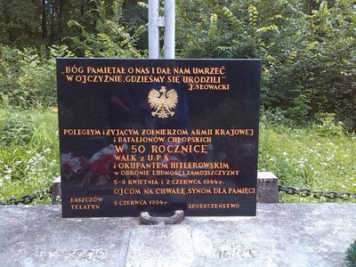 steniatyn_tablica_1067x800.jpg
