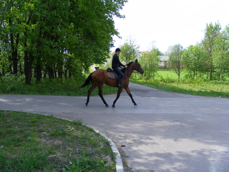 n 050.jpg