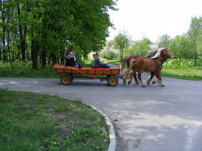 n 051.jpg