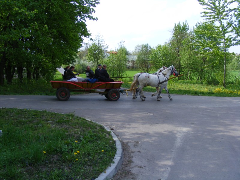 n 052.jpg