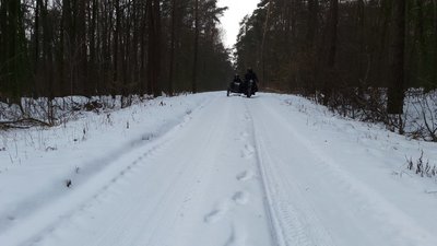 trasa_przez_las2.jpg