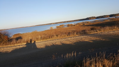 20181021_162833.jpg