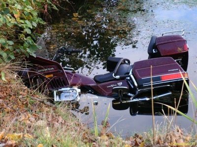goldwing.jpg