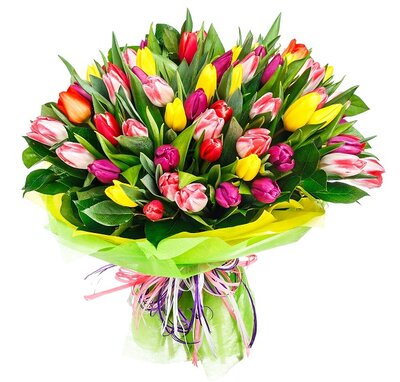 tulipany.jpg