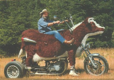 TexasTricycleResized.jpg