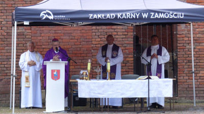 P6.JPG