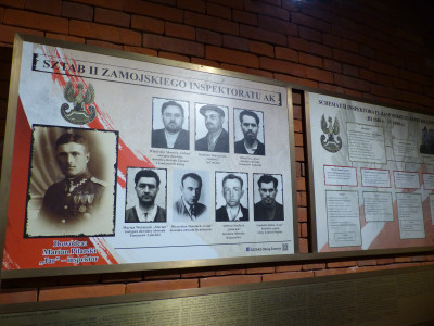 P3.JPG