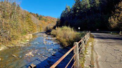 20241020_105400.jpg