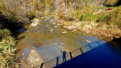 20241020_110215.jpg