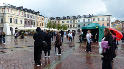 P1290560.JPG